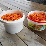 Froybu- Eksklusiv Fjellhytte Med Jacuzzi, Stor Terrasse Og Plass Til 12 * Støren