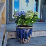Froybu- Eksklusiv Fjellhytte Med Jacuzzi, Stor Terrasse Og Plass Til 12