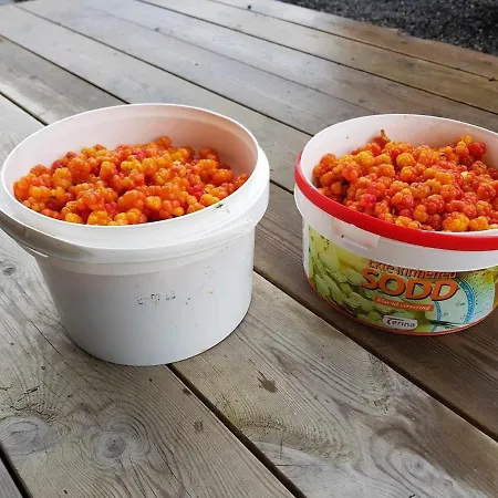 Froybu- Eksklusiv Fjellhytte Med Jacuzzi, Stor Terrasse Og Plass Til 12 * Støren