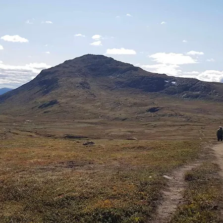 別荘 Froybu- Eksklusiv Fjellhytte Med Jacuzzi, Stor Terrasse Og Plass Til 12 *