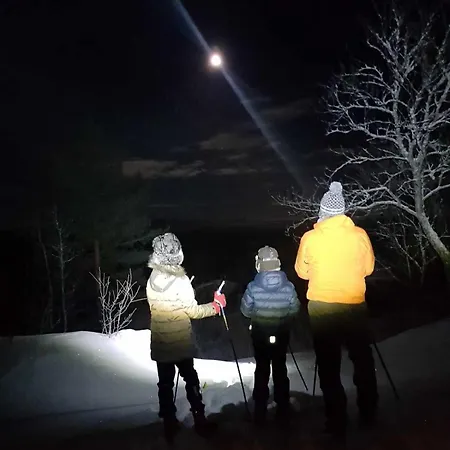 度假居 Froybu- Eksklusiv Fjellhytte Med Jacuzzi, Stor Terrasse Og Plass Til 12 *