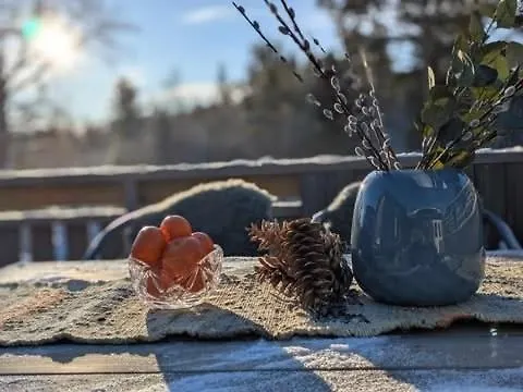 Luxury Mountain With Hot Tub And Views In Budal