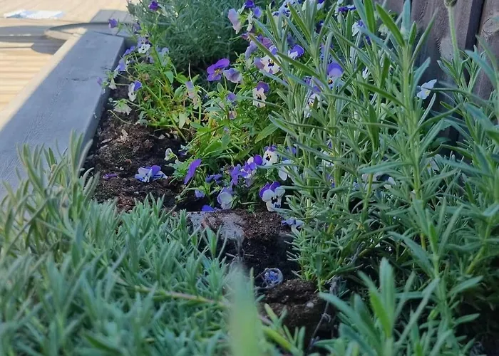 Luxury Mountain With Hot Tub And Views In Budal Feriehus